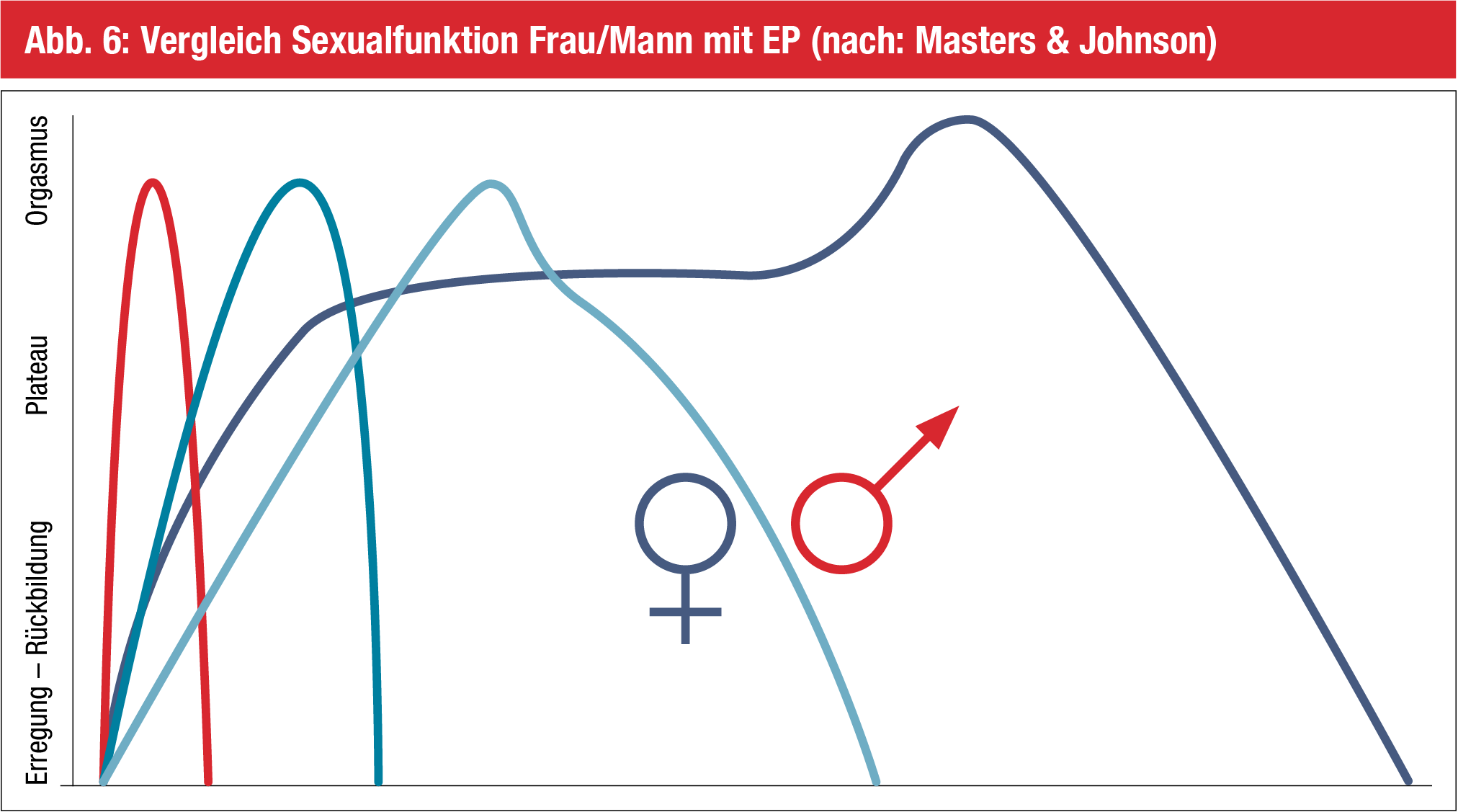 Welche Nüsse für die Potenz bei den Männern ist